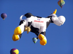Local Dairy Balloon     1600x1200 local, dairy, balloon, , , 