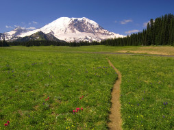 Scenic Trail Mount Rainier National Park Washington     1600x1200 