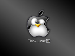 think, linux, компьютеры