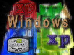 www, , , windows, xp