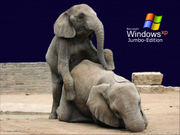 Windows XP Jumbo-Edition     1024x768 windows, xp, jumbo, edition, 