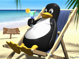 Linux     1024x768 linux, 