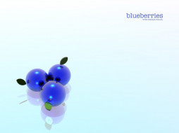 Blueberries     1024x768 blueberries, , mac, os
