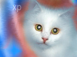     380536 (a): :1024x768
