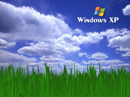 XP     1024x768 xp, , windows