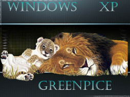 Greenpice     1024x768 greenpice, , windows, xp