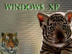 windows in world     1024x768 windows, in, world, , xp