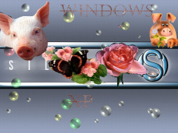 piggy, , windows, xp