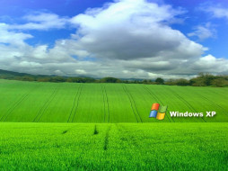     380683 (a): :1024x768