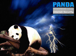 PANDA Planinum 2006     1024x768 panda, planinum, 2006, , unknown, 