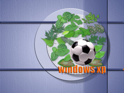 , windows, xp