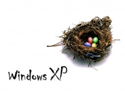 , windows, xp