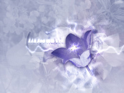     382005 (a):Denioska :1600x1200
