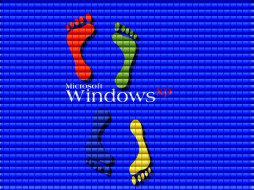 , windows, xp