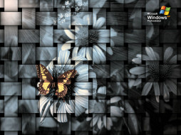     382916 (a):dzhadd :1024x768