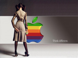     383239 (a): :1024x768