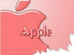     383311 (a): :1024x768