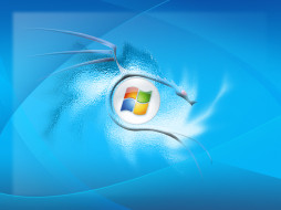      1024x768 , windows, xp