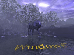      1024x768 , windows, xp