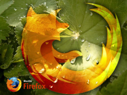      1024x768 , mozilla, firefox