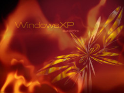 , windows, xp