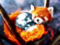      1600x1200 , mozilla, firefox