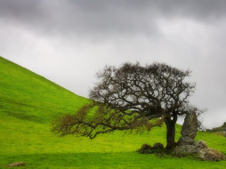 Lone Oak, California     1600x1200 