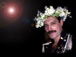 queen - Freddie Mercury     1024x768 queen, freddie, mercury, 