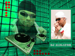 DJ ALIGATOR     1024x768 dj, aligator, 