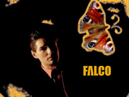 falco, 