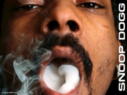 Snoop Dogg (5)     1024x768 snoop, dogg, 