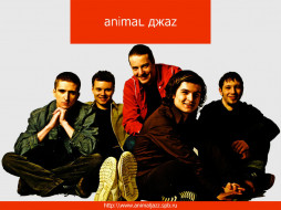 Animal zz1     1024x768 animal, zz1, , z