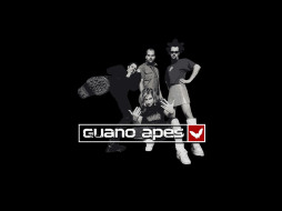      1024x768 , guano, apes