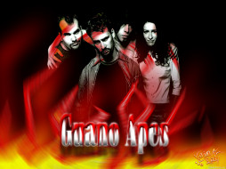 , guano, apes