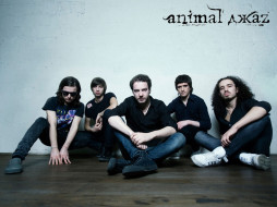, animal, z