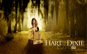 Hart of Dixie     1920x1200 hart, of, dixie, , , , rachel, bilson