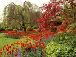 Queen Elizabeth Park, Vancouver, British Columbia, Canada     1600x1200 