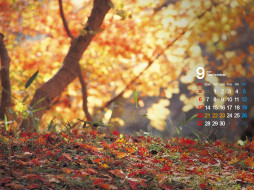     399955 (a):frederika :1600x1200