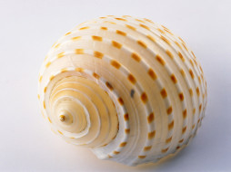     400304 (a): :1600x1200
