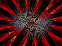     40135 (a): :2048x1536