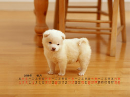     401607 (a): :1024x768