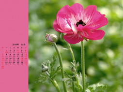     401780 (a): :1024x768