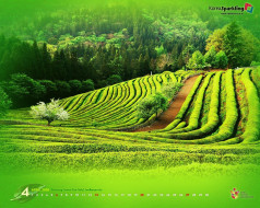     402205 (a):frederika :1280x1024