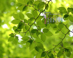     402698 (a):frederika :1280x1024