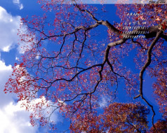     402714 (a):frederika :1280x1024