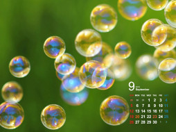     403276 (a): :1600x1200