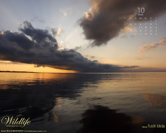     403390 (a):frederika :1280x1024