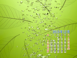     403830 (a): :1024x768