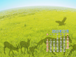     403850 (a): :1024x768