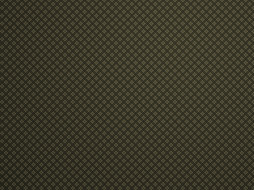     404640 (a): :1600x1200